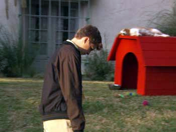 Donec sapion nunc, nonummy eu